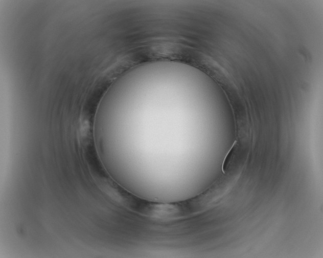 X0000113010087200909101826