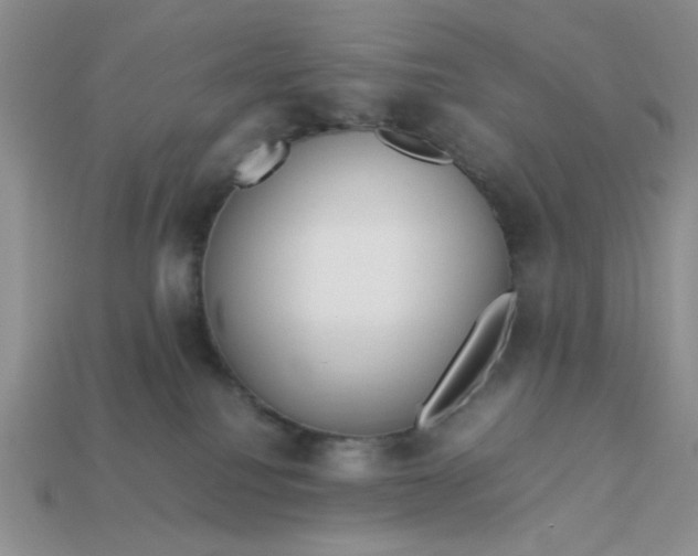 X0000113010088200909101826