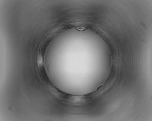 X0000113010089200909101826