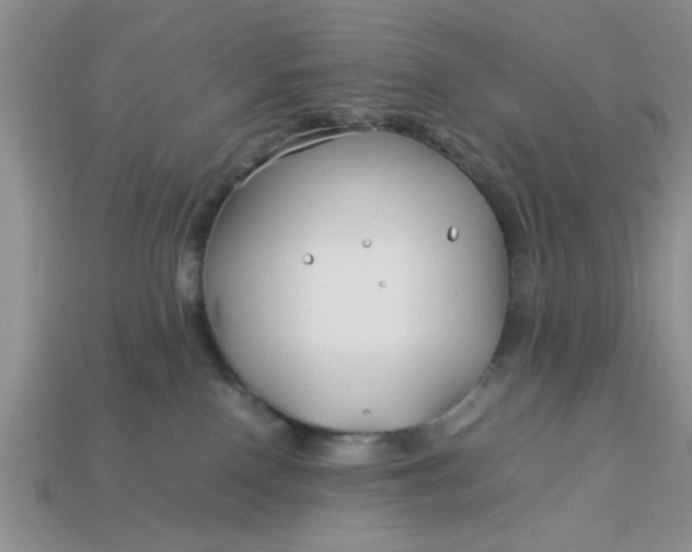 X0000113010090200909101826