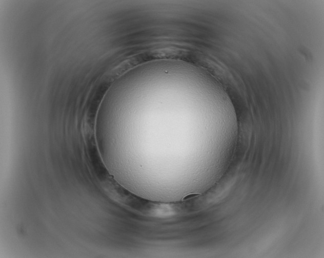 X0000113010091200909101826