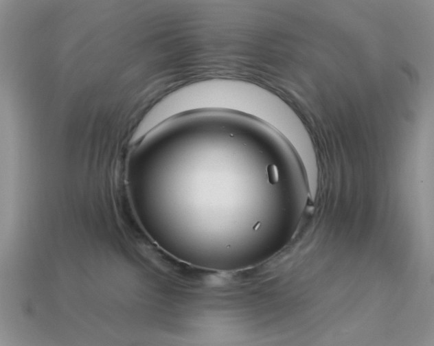 X0000113010092200909101826