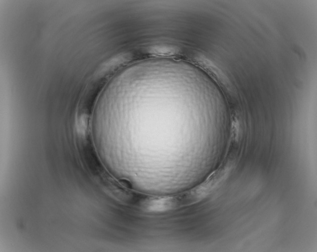 X0000113010093200909101826