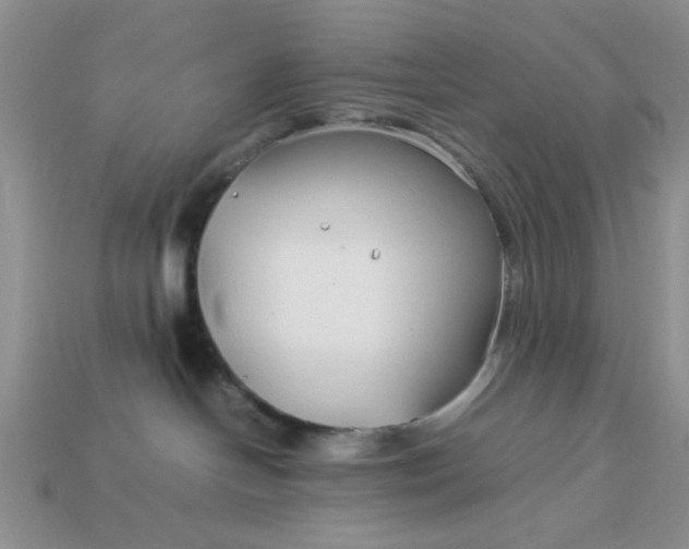 X0000113010094200909101826