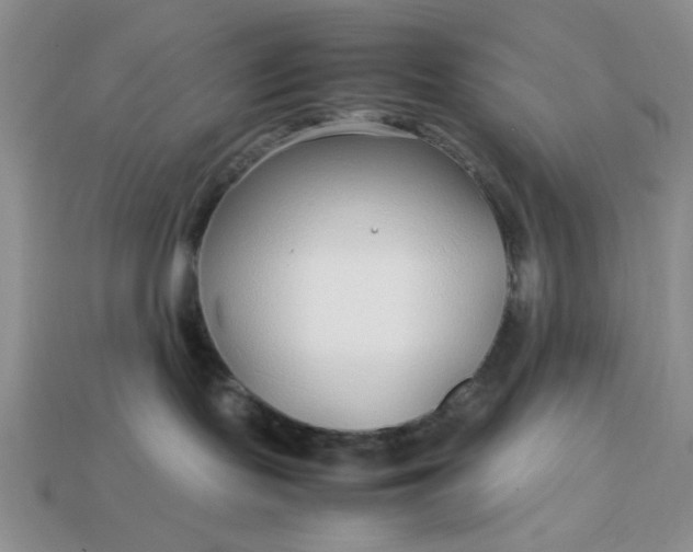 X0000113010095200909101826