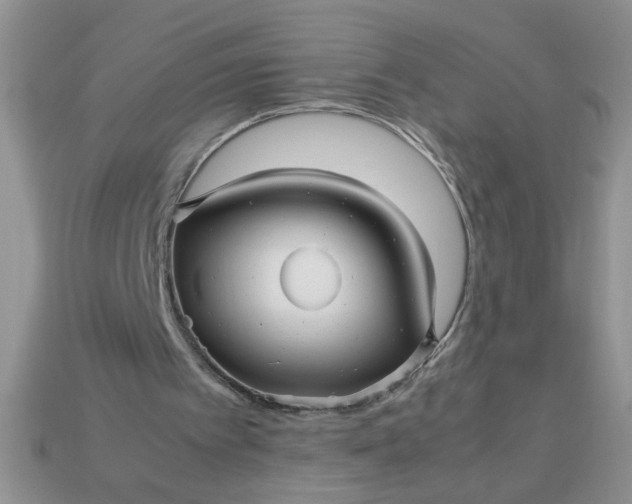 X0000113010097200909101826