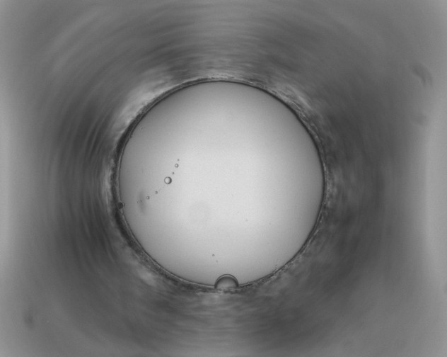 X0000113010098200909101826