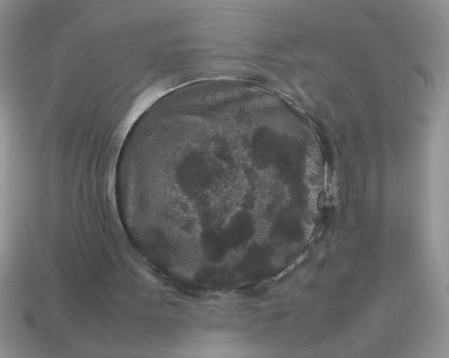 X0000113010099200909101826