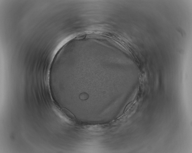 X0000113010100200909101825