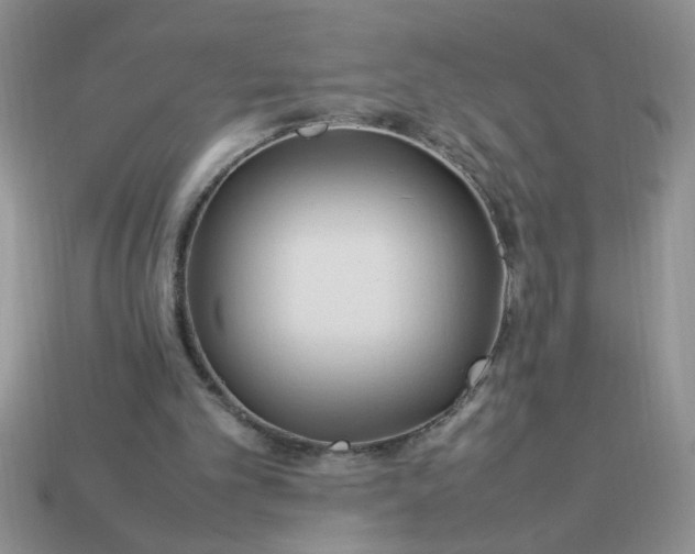 X0000113010101200909101825