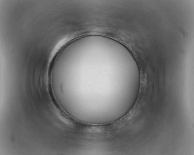 X0000113010102200909101825