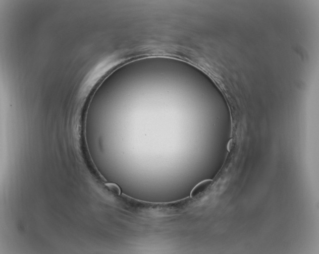 X0000113010103200909101825