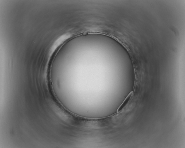 X0000113010104200909101825