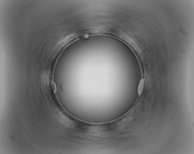 X0000113010105200909101825