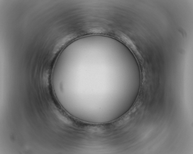 X0000113010106200909101825