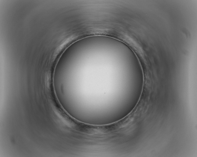 X0000113010107200909101825