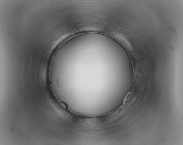 X0000113010108200909101825