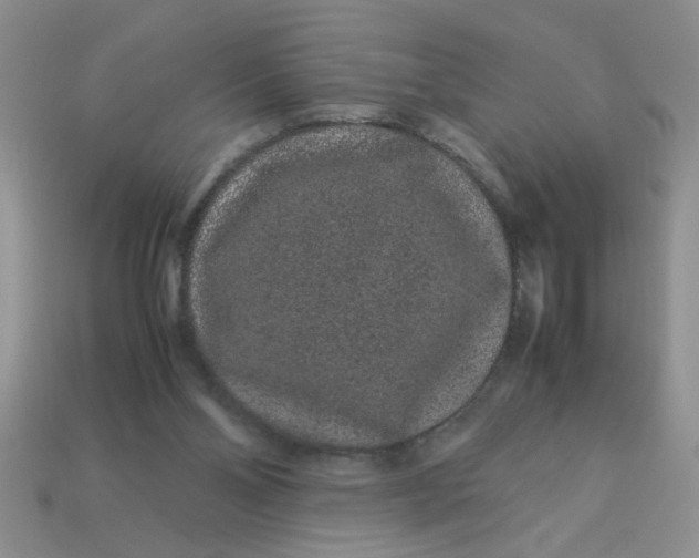 X0000113010110200909101825