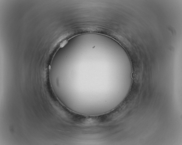 X0000113010111200909101825