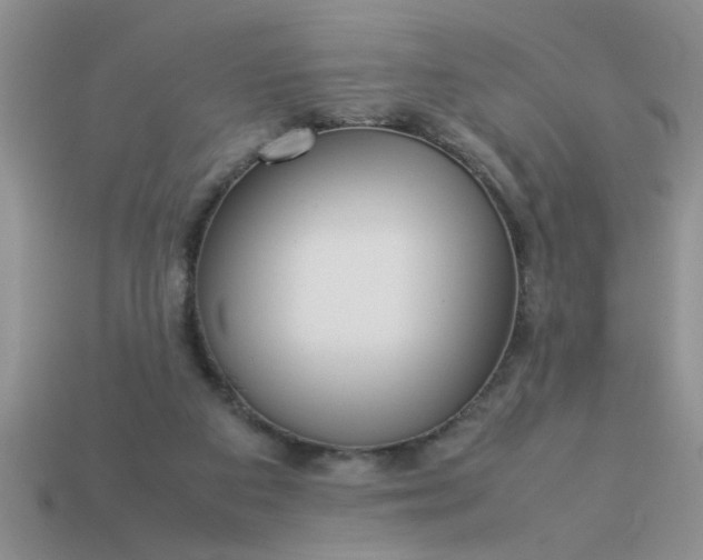 X0000113010113200909101825