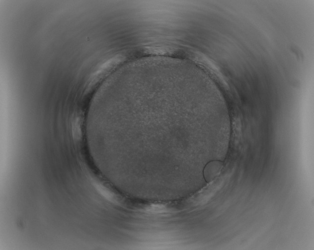 X0000113010114200909101825