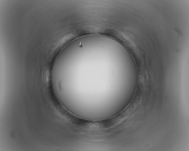 X0000113010115200909101825