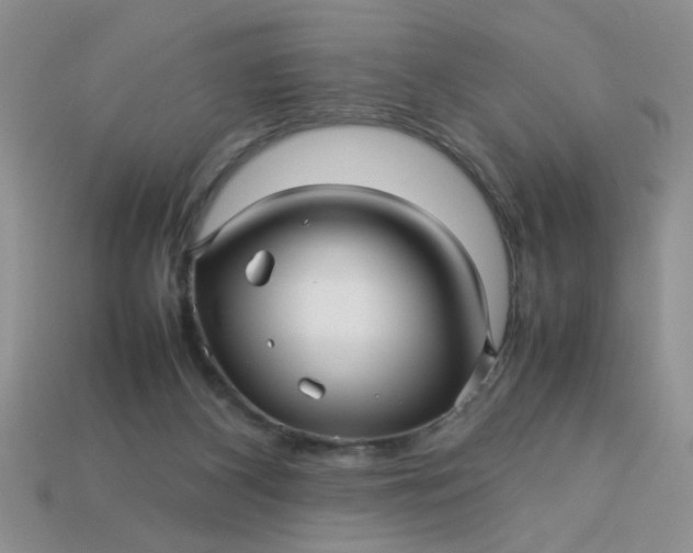 X0000113010116200909101825