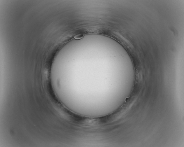 X0000113010117200909101825