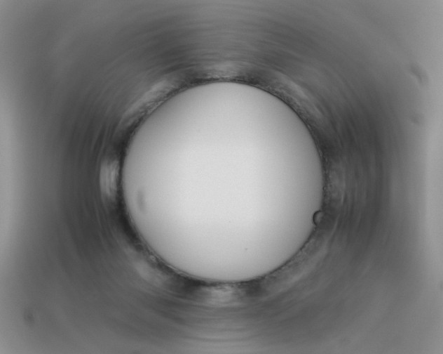 X0000113010118200909101825