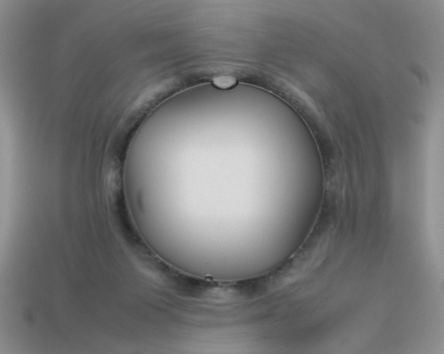 X0000113010119200909101825