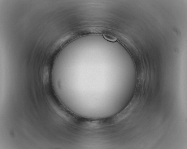 X0000113010120200909101825