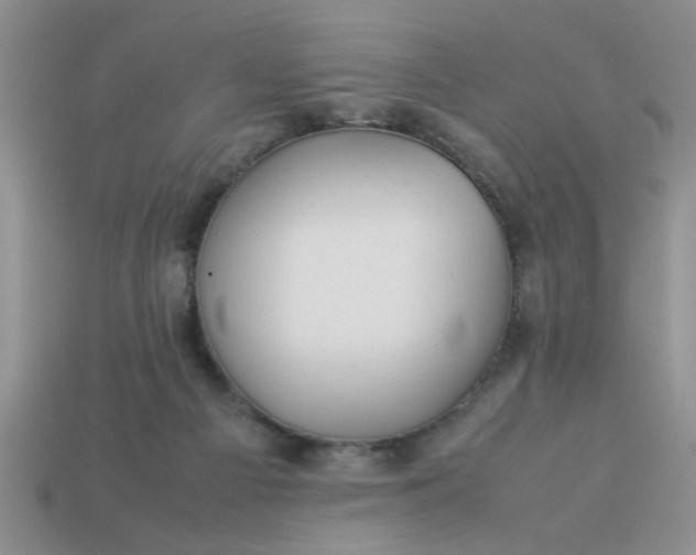 X0000113010121200909101825