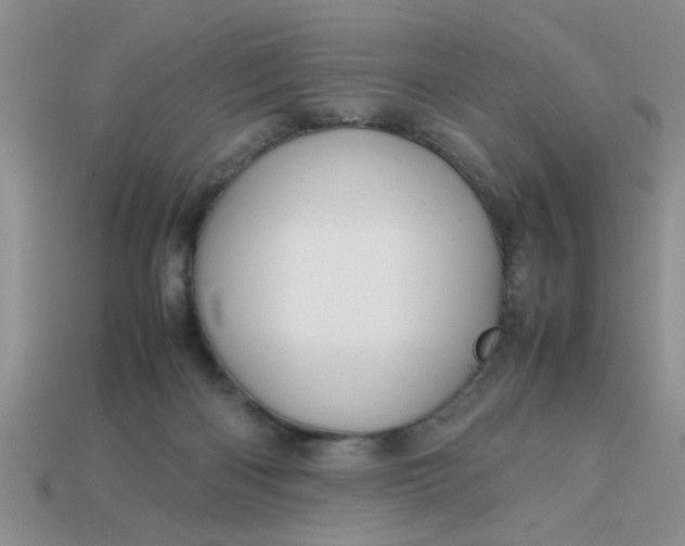 X0000113010122200909101825