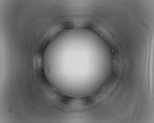 X0000113010123200909101825