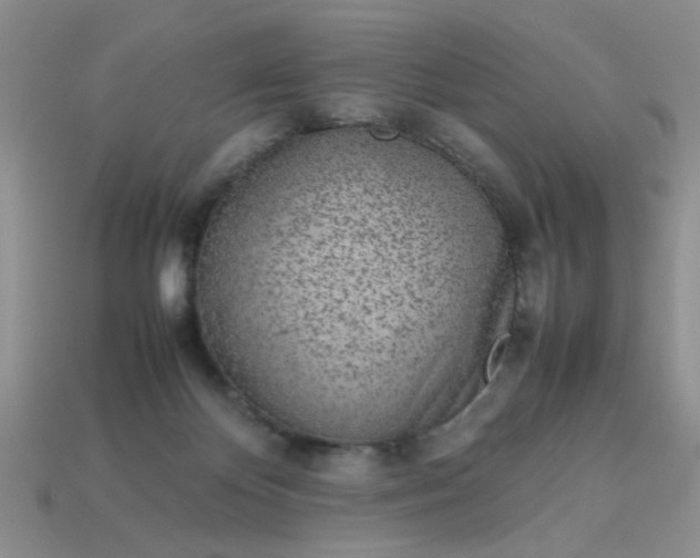 X0000113010124200909101825