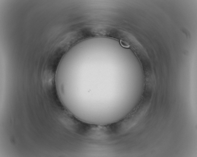 X0000113010125200909101825