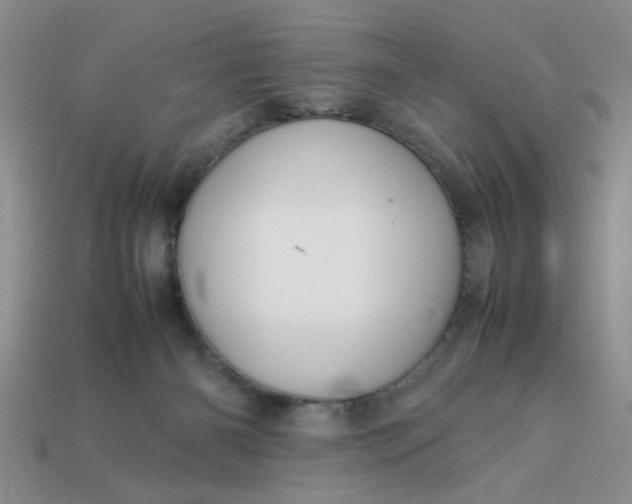 X0000113010126200909101825