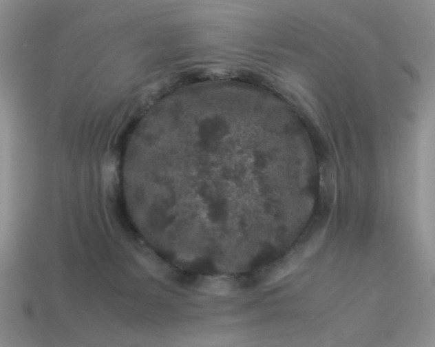 X0000113010127200909101825