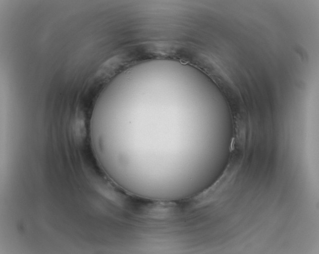 X0000113010128200909101825