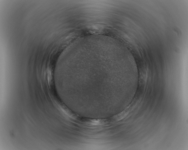 X0000113010130200909101825