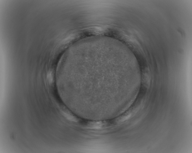 X0000113010131200909101825