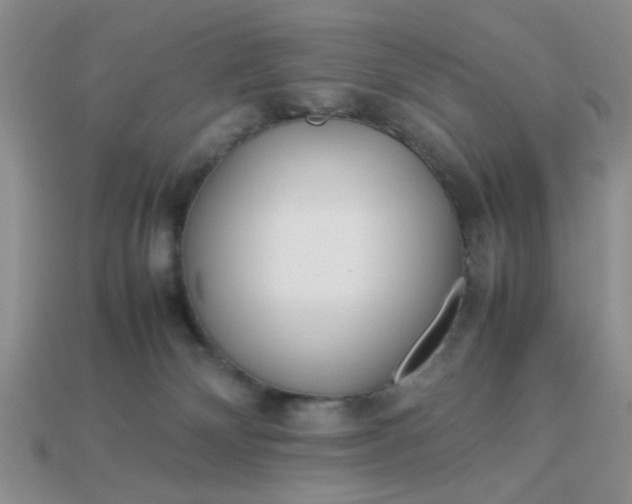 X0000113010132200909101825