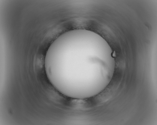 X0000113010133200909101825