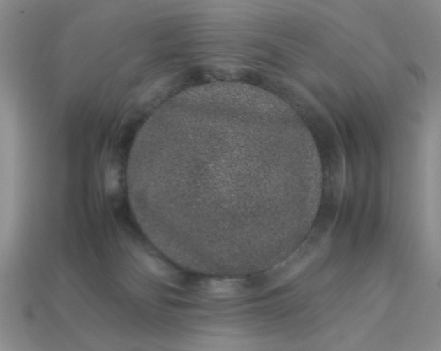 X0000113010134200909101825