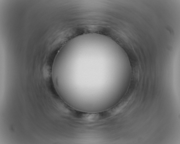 X0000113010135200909101825