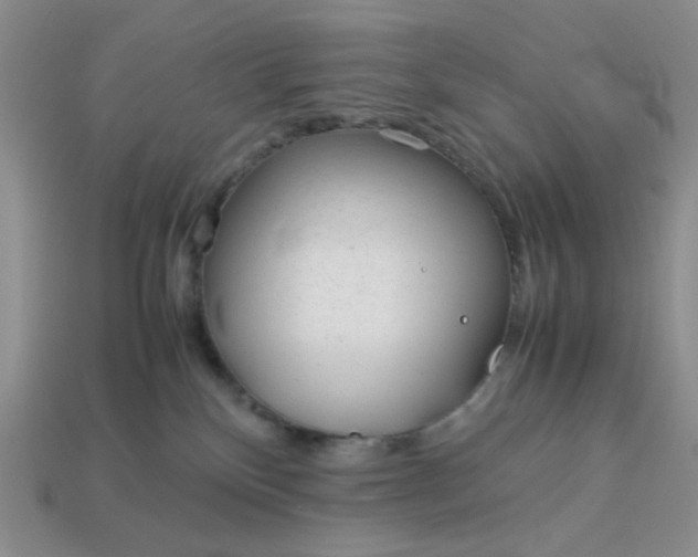 X0000113010136200909101825