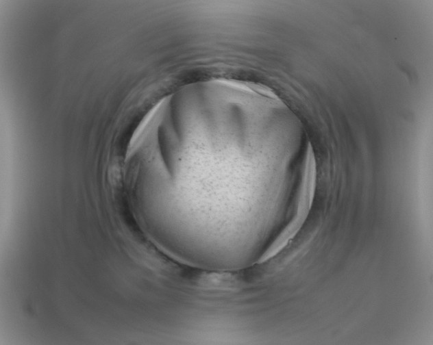 X0000113010137200909101825