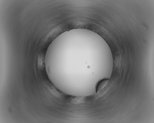 X0000113010138200909101825