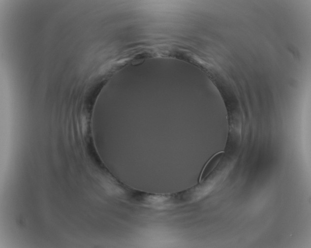 X0000113010139200909101825