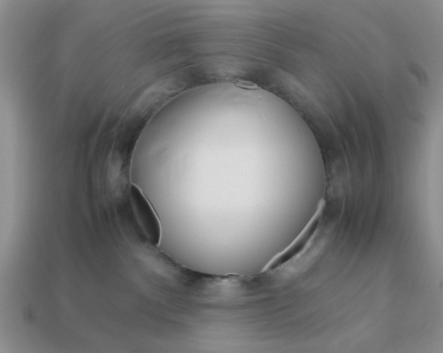 X0000113010140200909101825